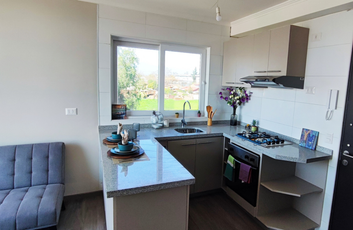 Proyecto en San Bernardo-4